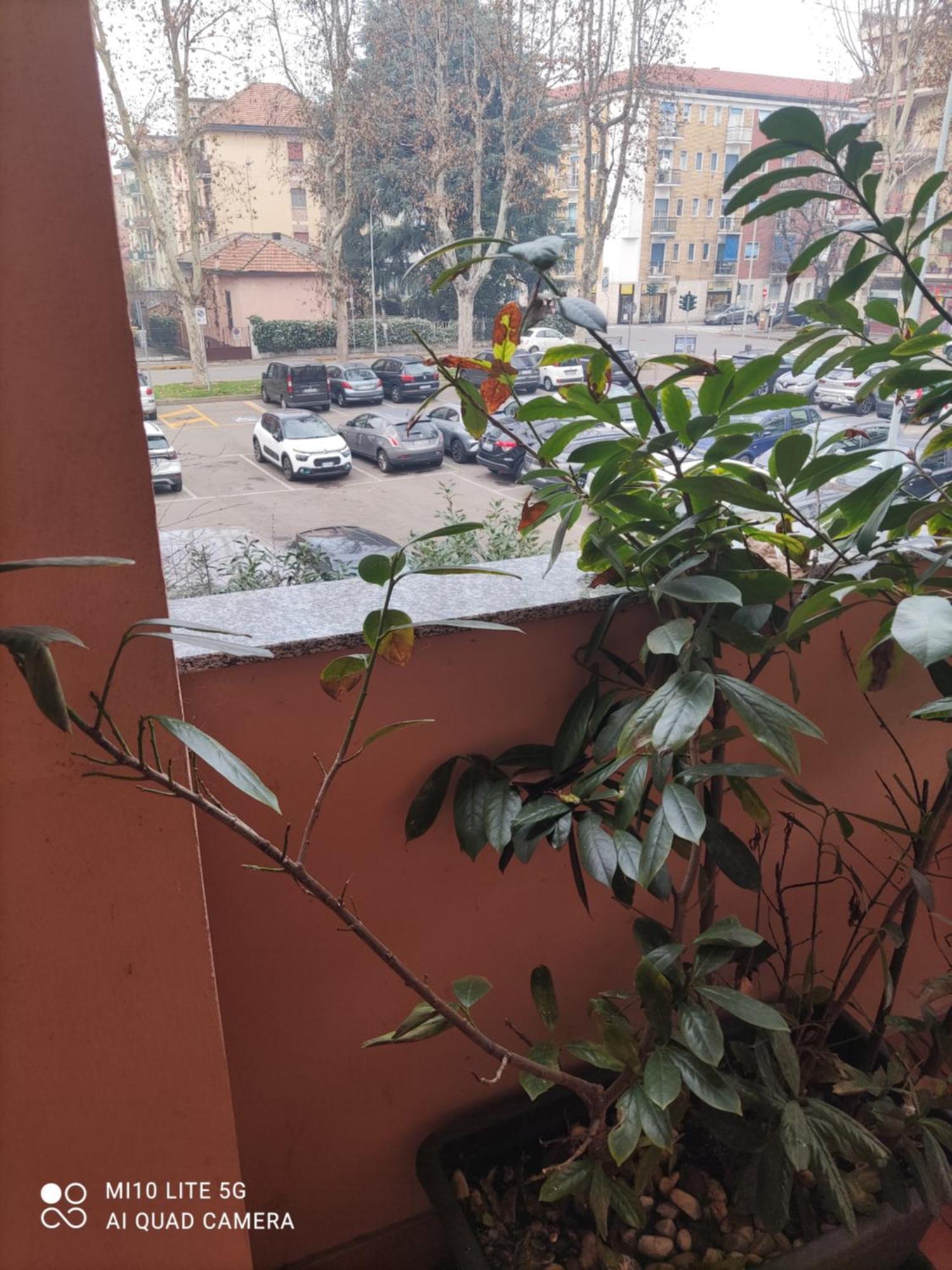 Hostal D'Annunzio House Cesano Boscone Kültér fotó